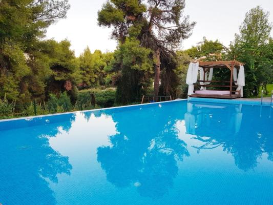Hotel de vanzare in Grecia || Halkidiki - Kriopigi